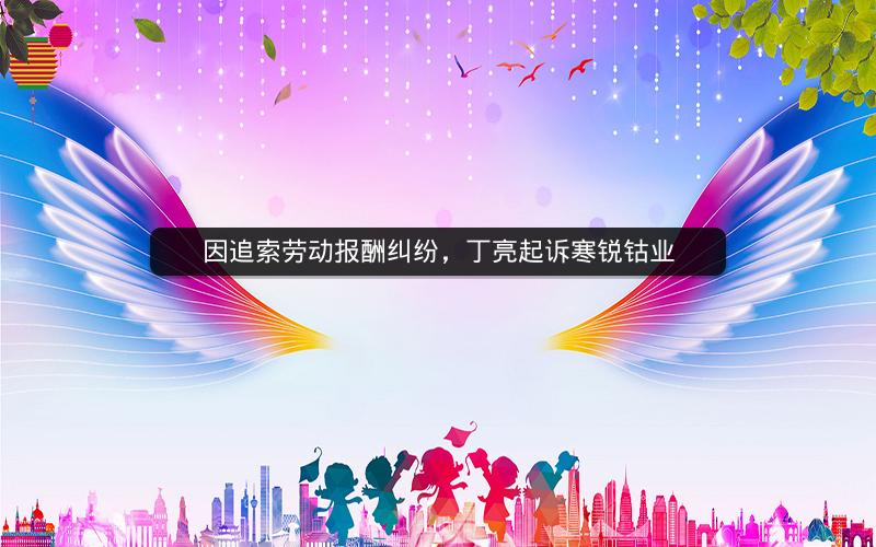 因追索劳动报酬纠纷，丁亮起诉寒锐钴业