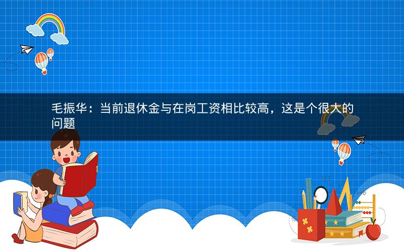 毛振华:当前退休金与在岗工资相比较高,这是个很大的问题 毛振华:当前退休金与在岗工资相比较高,这是个很大的问题