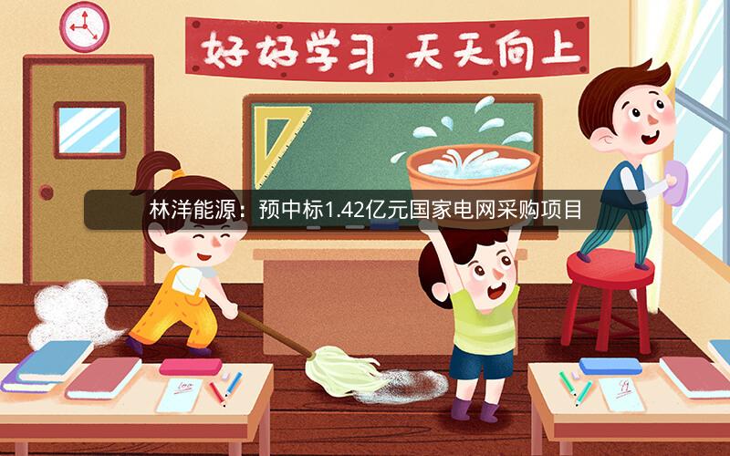 林洋能源:预中标1.42亿元国家电网采购项目 林洋能源:预中标1.42亿元国家电网采购项目