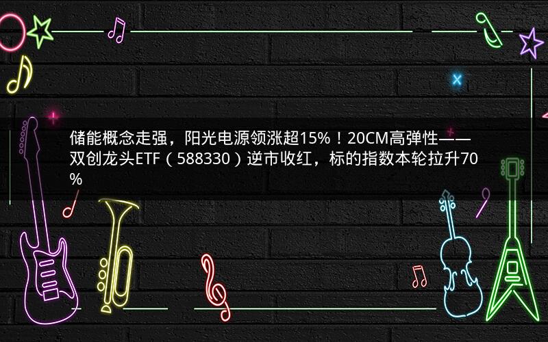 储能概念走强,阳光电源领涨超15%!20CM高弹性——双创龙头ETF(588330)逆市收红,标的指数本轮拉升70% 储能概念走强,阳光电源领涨超15%!20CM高弹性——双创龙头ETF(588330)逆市收红,标的指数本轮拉升70%