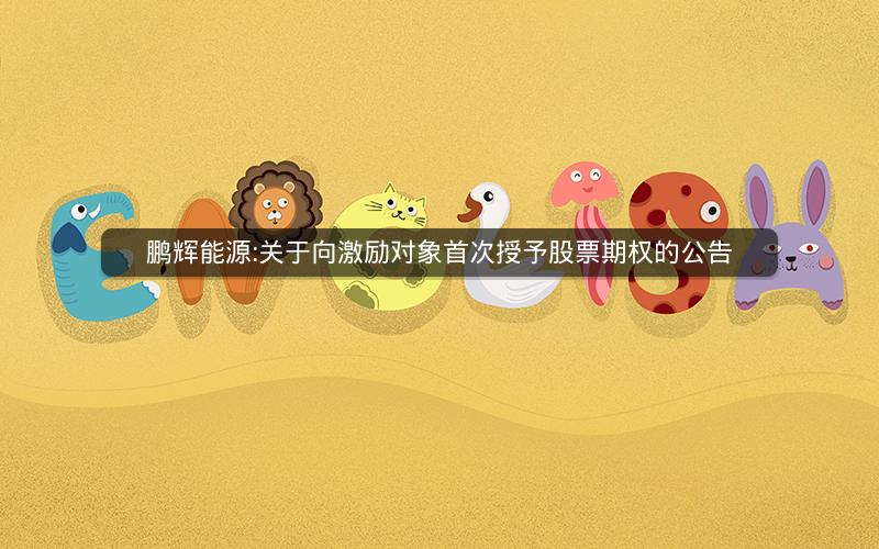 鹏辉能源:关于向激励对象首次授予股票期权的公告