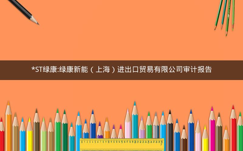 *ST绿康:绿康新能（上海）进出口贸易有限公司审计报告