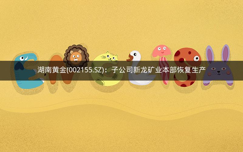 湖南黄金(002155.SZ)：子公司新龙矿业本部恢复生产