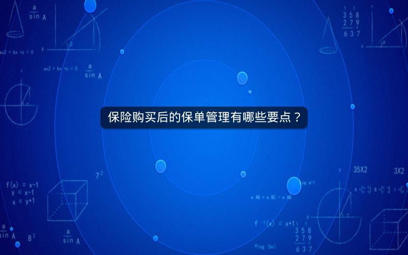 保险购买后的保单管理有哪些要点？