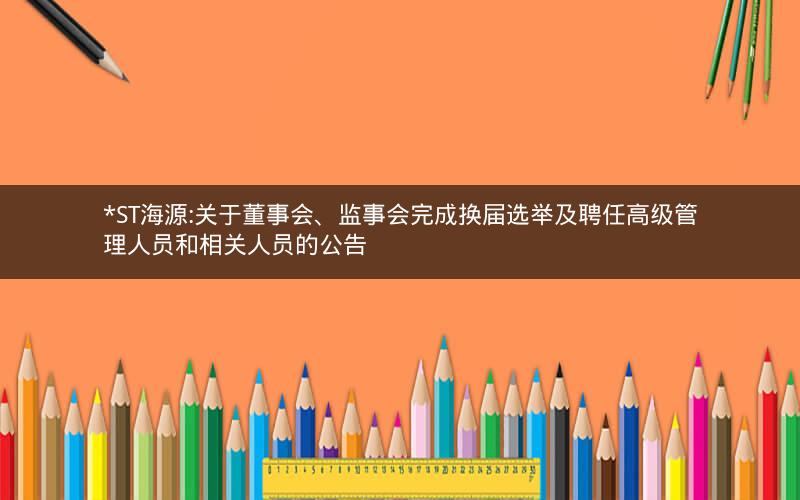 *ST海源:关于董事会、监事会完成换届选举及聘任高级管理人员和相关人员的公告