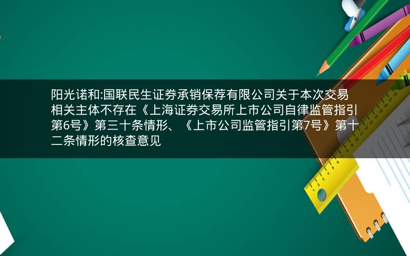 阳光诺和:国联民生证券承销保荐有限公司关于本次交易相关主体不存在《上海证券交易所上市公司自律监管指引第6号》第三十条情形、《上市公司监管指引第7号》第十二条情形的核查意见