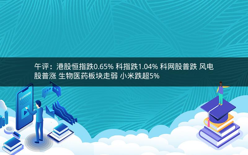 午评：港股恒指跌0.65% 科指跌1.04% 科网股普跌 风电股普涨 生物医药板块走弱 小米跌超5%