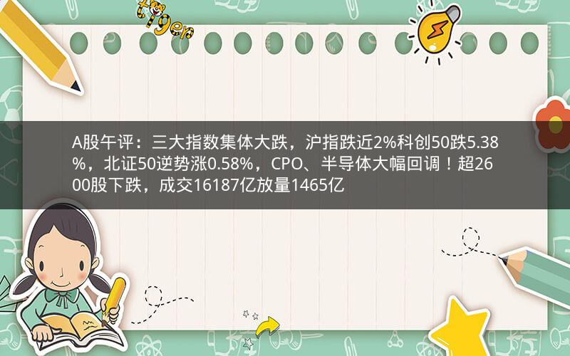 A股午评:三大指数集体大跌,沪指跌近2%科创50跌5.38%,北证50逆势涨0.58%,CPO、半导体大幅回调!超2600股下跌,成交16187亿放量1465亿 A股午评:三大指数集体大跌,沪指跌近2%科创50跌5.38%,北证50逆势涨0.58%,CPO、半导体大幅回调!超2600股下跌,成交16187亿放量1465亿