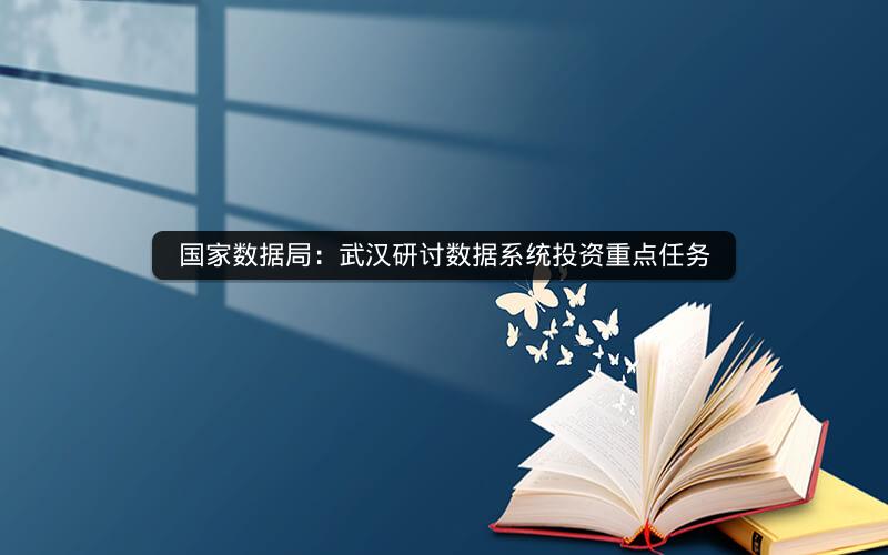 国家数据局：武汉研讨数据系统投资重点任务