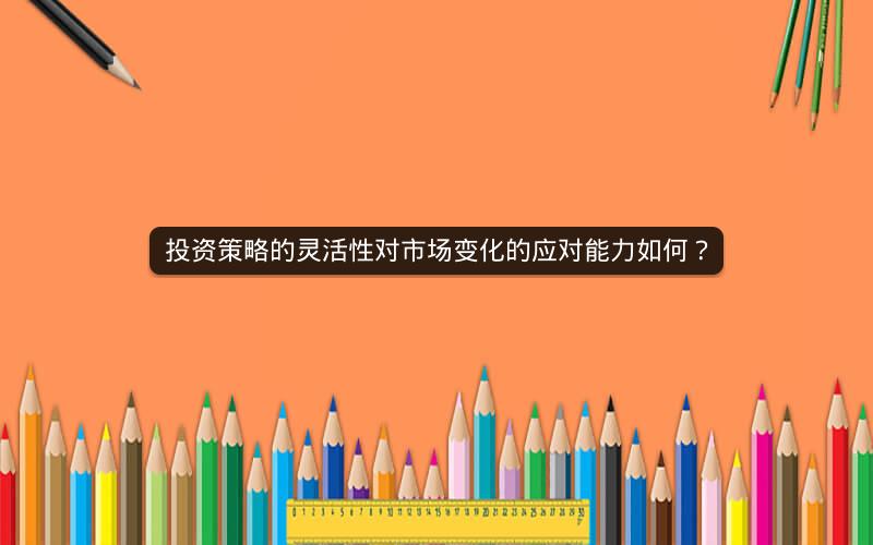 投资策略的灵活性对市场变化的应对能力如何？