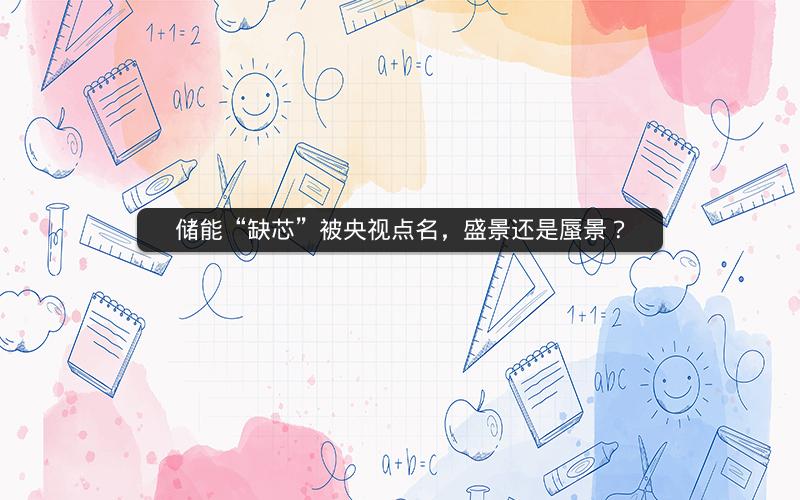 储能“缺芯”被央视点名，盛景还是蜃景？