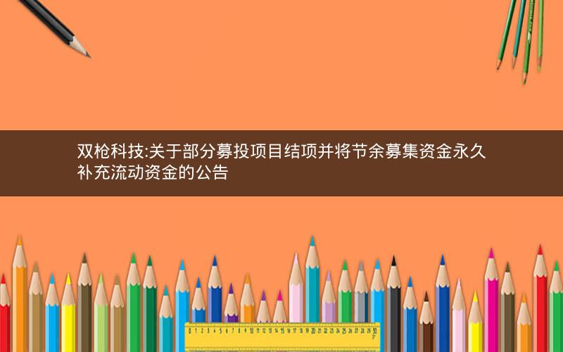 双枪科技:关于部分募投项目结项并将节余募集资金永久补充流动资金的公告
