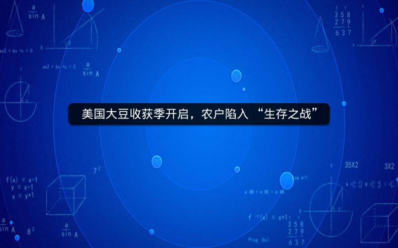 美国大豆收获季开启，农户陷入 “生存之战”