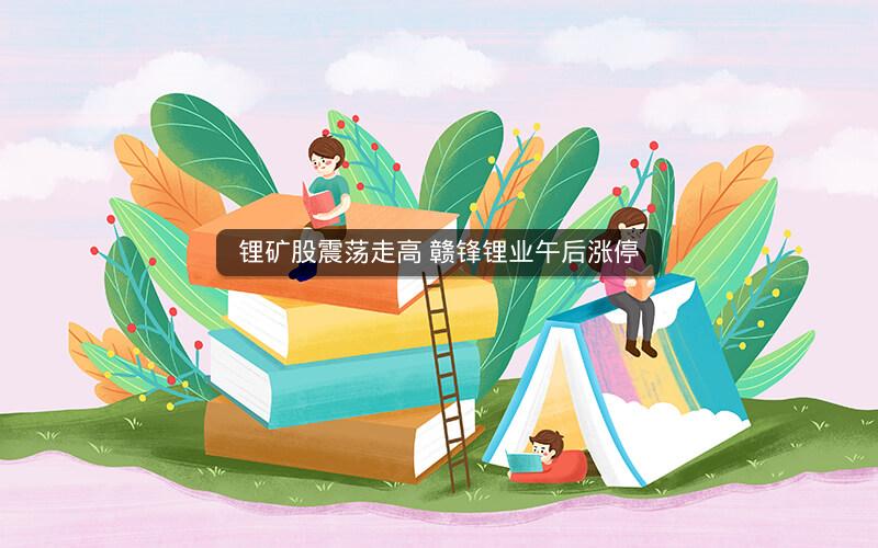 锂矿股震荡走高 赣锋锂业午后涨停