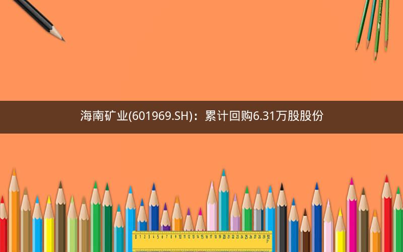 海南矿业(601969.SH):累计回购6.31万股股份 海南矿业(601969.SH):累计回购6.31万股股份