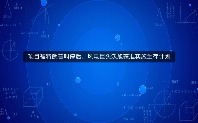 项目被特朗普叫停后，风电巨头沃旭获准实施生存计划