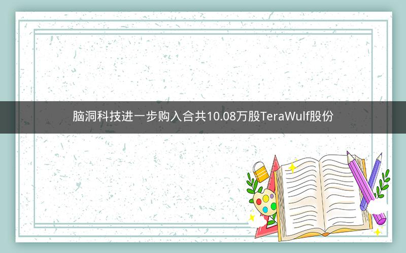 脑洞科技进一步购入合共10.08万股TeraWulf股份