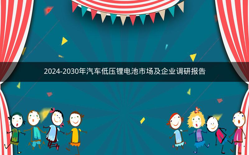 2024-2030年汽车低压锂电池市场及企业调研报告