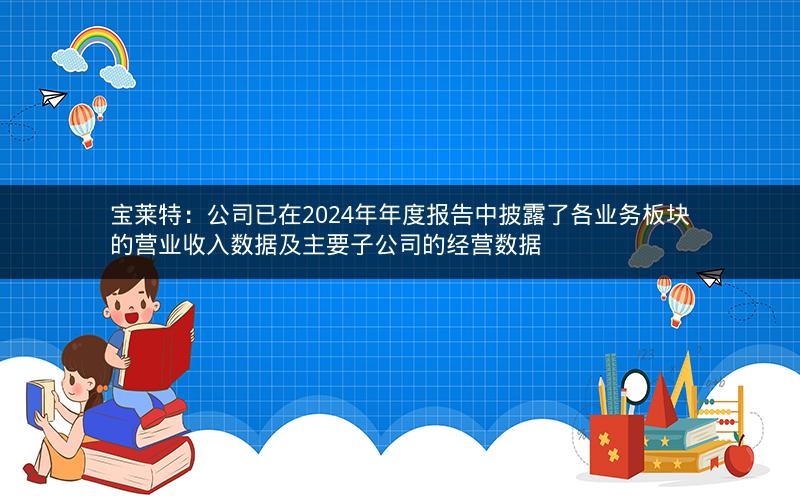 宝莱特：公司已在2024年年度报告中披露了各业务板块的营业收入数据及主要子公司的经营数据