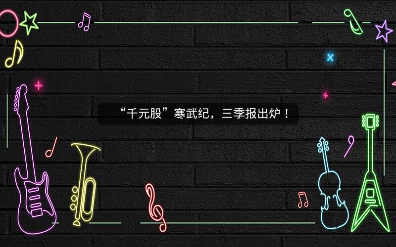“千元股”寒武纪,三季报出炉! “千元股”寒武纪,三季报出炉!