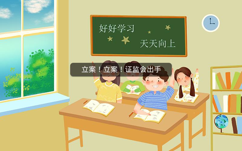 立案！立案！证监会出手