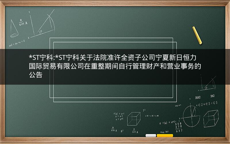 *ST宁科:*ST宁科关于法院准许全资子公司宁夏新日恒力国际贸易有限公司在重整期间自行管理财产和营业事务的公告