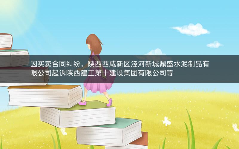 因买卖合同纠纷，陕西西咸新区泾河新城鼎盛水泥制品有限公司起诉陕西建工第十建设集团有限公司等