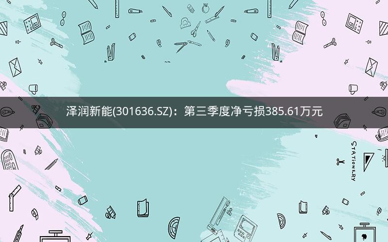 泽润新能(301636.SZ)：第三季度净亏损385.61万元