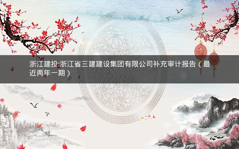 浙江建投:浙江省三建建设集团有限公司补充审计报告（最近两年一期）