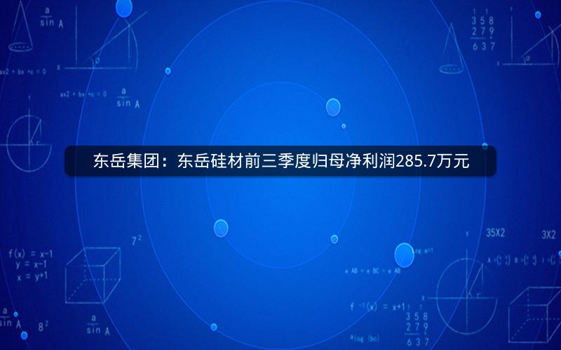 东岳集团：东岳硅材前三季度归母净利润285.7万元