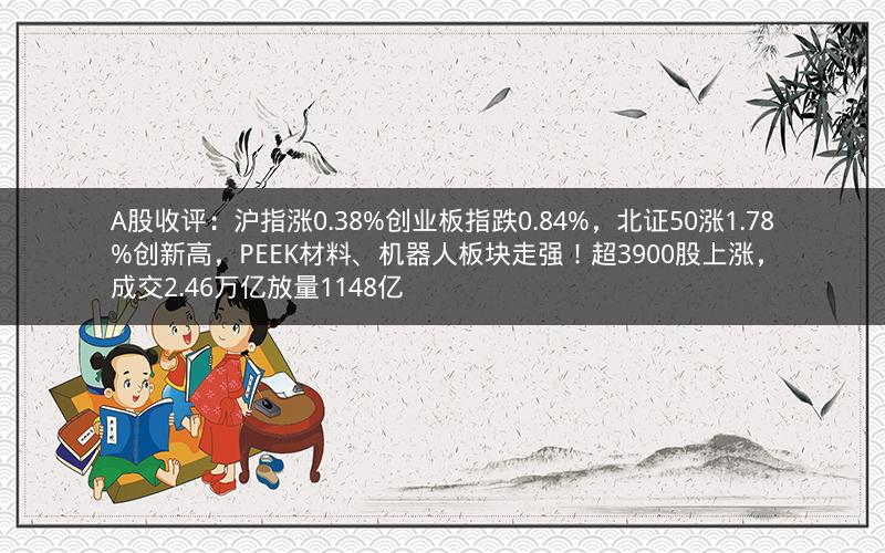 A股收评：沪指涨0.38%创业板指跌0.84%，北证50涨1.78%创新高，PEEK材料、机器人板块走强！超3900股上涨，成交2.46万亿放量1148亿