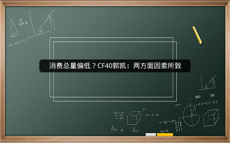 消费总量偏低?CF40郭凯:两方面因素所致 消费总量偏低?CF40郭凯:两方面因素所致