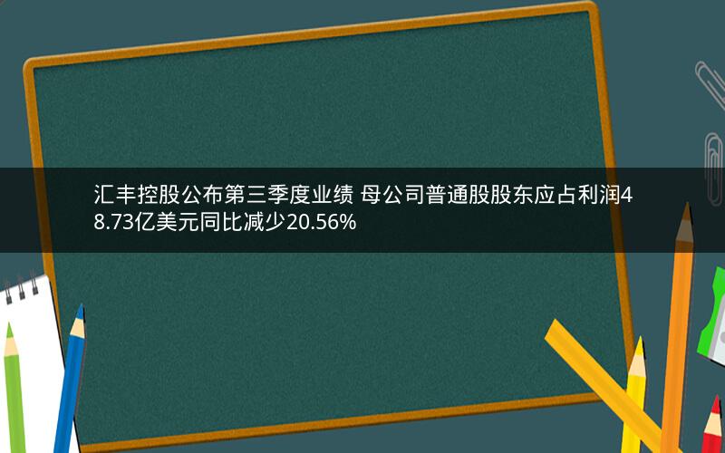 汇丰控股公布第三季度业绩 母公司普通股股东应占利润48.73亿美元同比减少20.56% 汇丰控股公布第三季度业绩 母公司普通股股东应占利润48.73亿美元同比减少20.56%