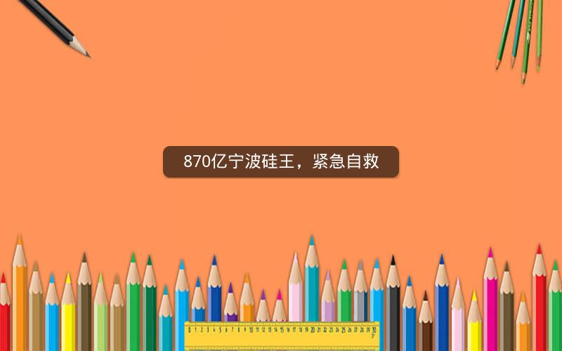 870亿宁波硅王，紧急自救