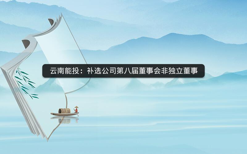 云南能投：补选公司第八届董事会非独立董事