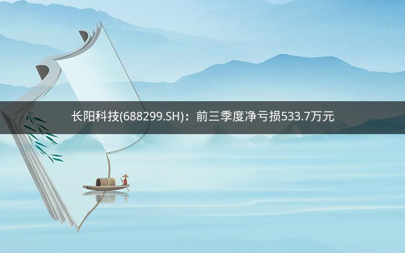 长阳科技(688299.SH)：前三季度净亏损533.7万元