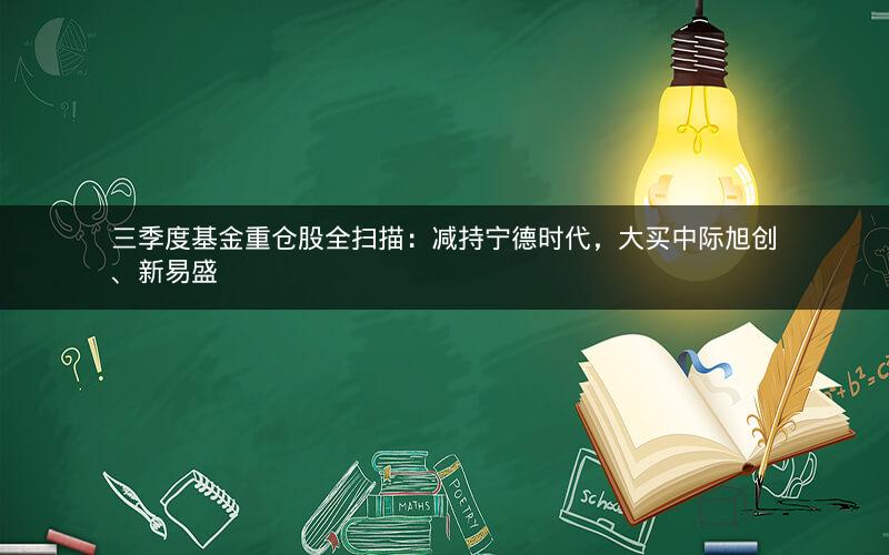 三季度基金重仓股全扫描:减持宁德时代,大买中际旭创、新易盛 三季度基金重仓股全扫描:减持宁德时代,大买中际旭创、新易盛