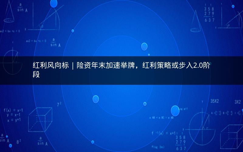 红利风向标 | 险资年末加速举牌，红利策略或步入2.0阶段