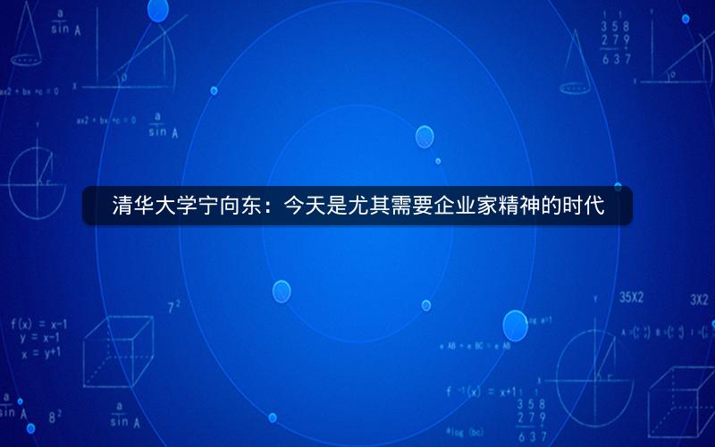 清华大学宁向东:今天是尤其需要企业家精神的时代 清华大学宁向东:今天是尤其需要企业家精神的时代