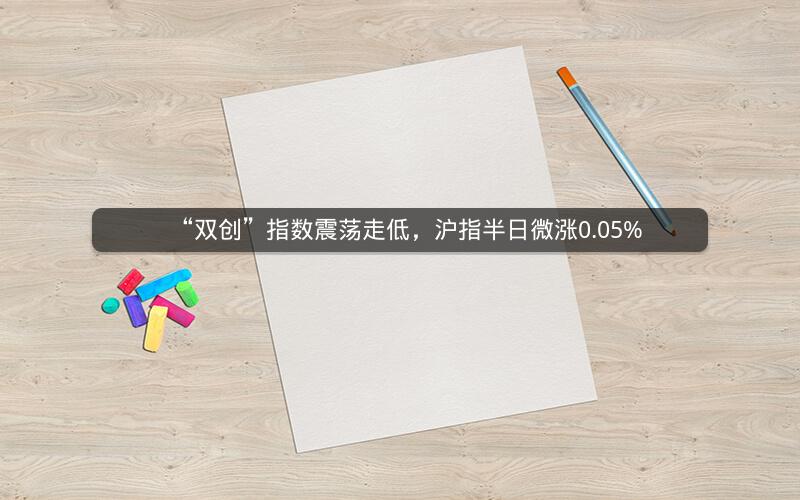 “双创”指数震荡走低，沪指半日微涨0.05%