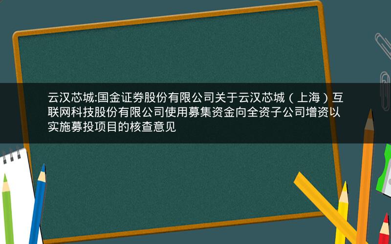 云汉芯城:国金证券股份有限公司关于云汉芯城（上海）互联网科技股份有限公司使用募集资金向全资子公司增资以实施募投项目的核查意见
