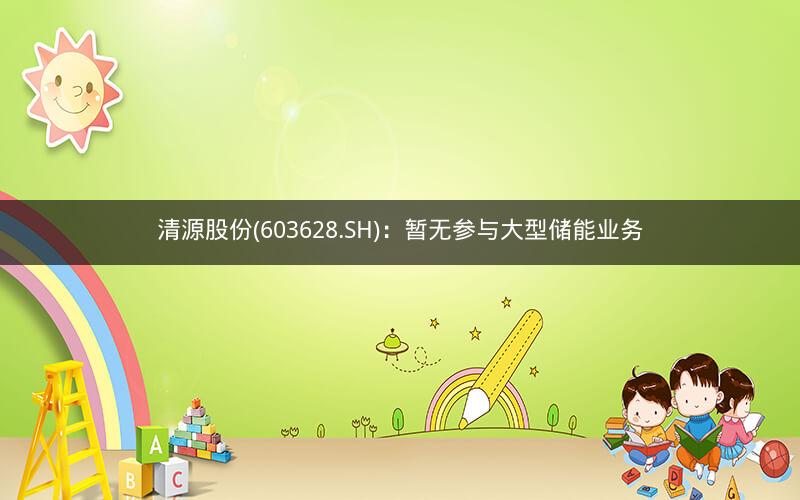 清源股份(603628.SH)：暂无参与大型储能业务
