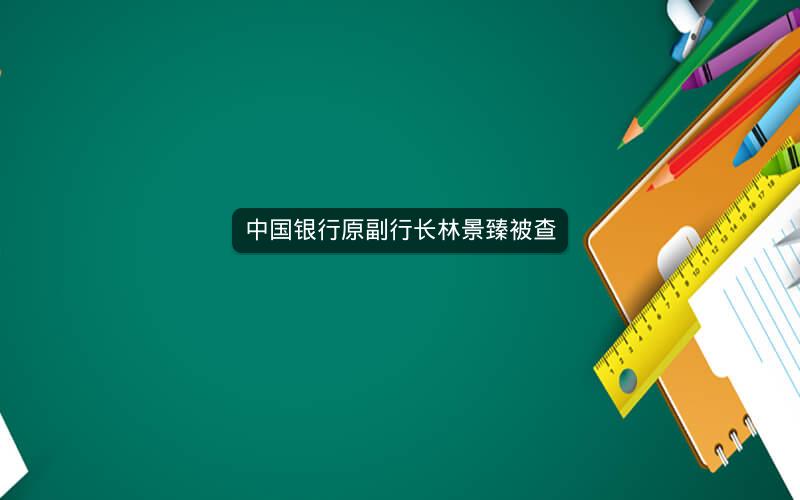 中国银行原副行长林景臻被查