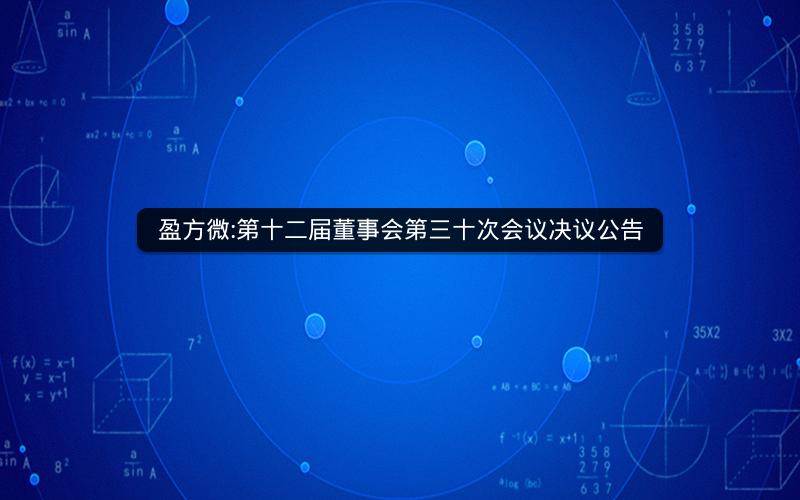 盈方微:第十二届董事会第三十次会议决议公告