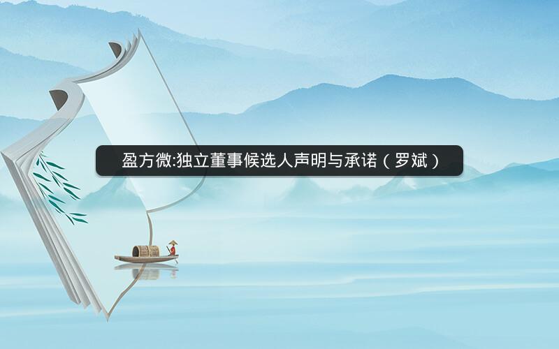 盈方微:独立董事候选人声明与承诺（罗斌）