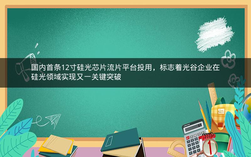 国内首条12寸硅光芯片流片平台投用，标志着光谷企业在硅光领域实现又一关键突破