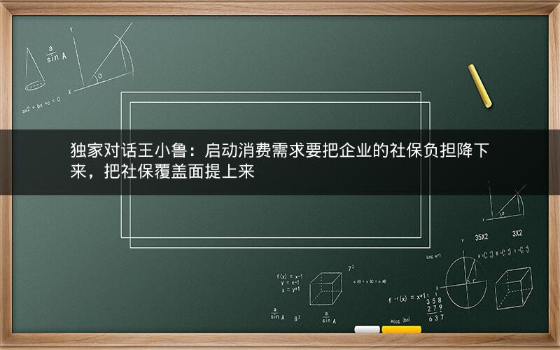 独家对话王小鲁：启动消费需求要把企业的社保负担降下来，把社保覆盖面提上来