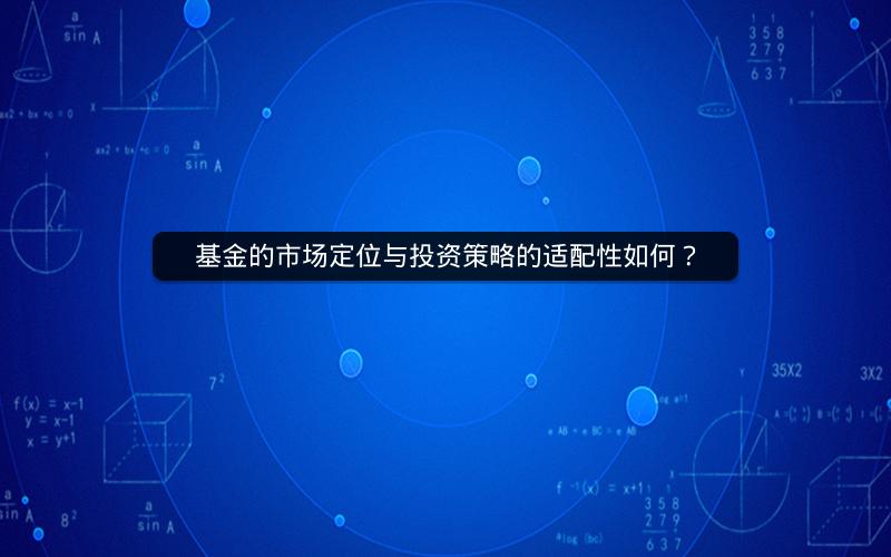 基金的市场定位与投资策略的适配性如何? 基金的市场定位与投资策略的适配性如何?