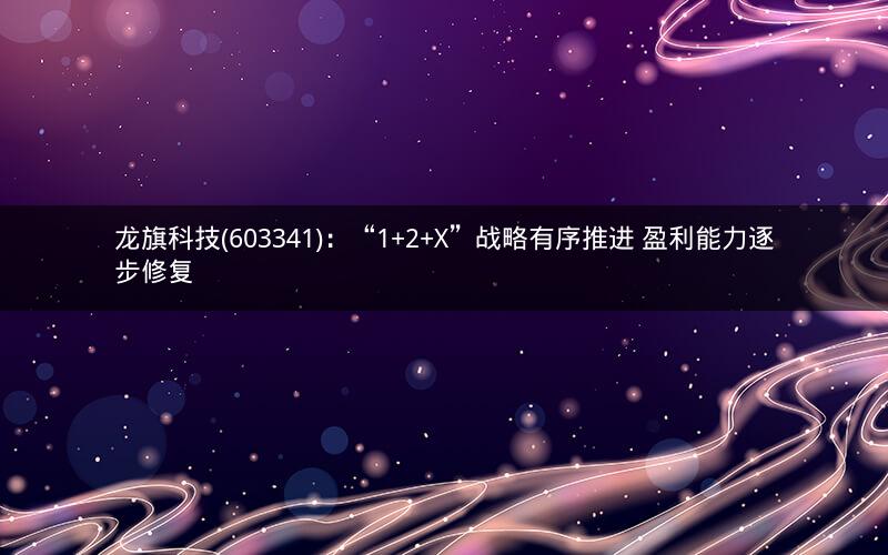 龙旗科技(603341)：“1+2+X”战略有序推进 盈利能力逐步修复