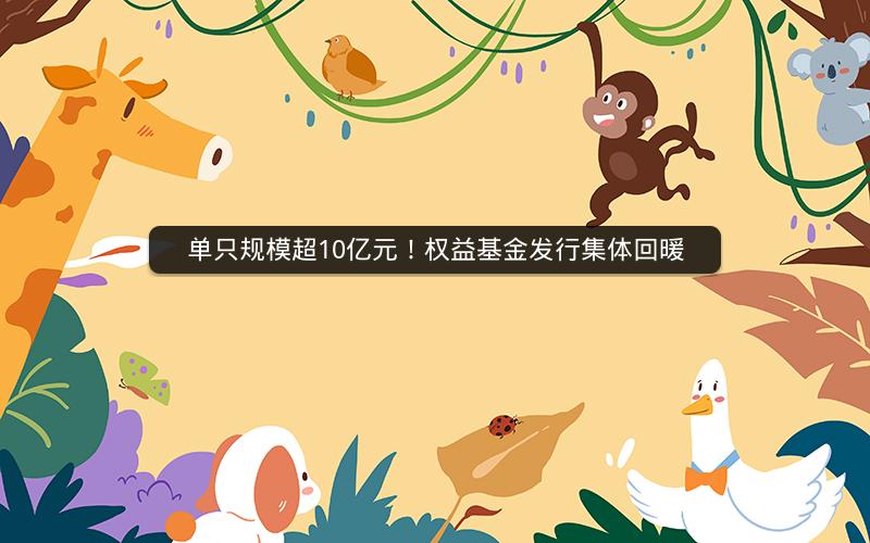 单只规模超10亿元!权益基金发行集体回暖 单只规模超10亿元!权益基金发行集体回暖